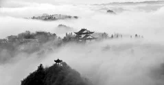 多彩贵州·第十四届中国原生态国际摄影大展 · 光头果果 的图集