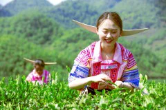 多彩贵州·第十四届中国原生态国际摄影大展 · 凉都小书童 的图集