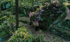 多彩贵州·第十四届中国原生态国际摄影大展 · 普照山 的图集