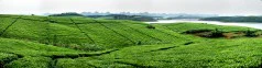 多彩贵州·第十四届中国原生态国际摄影大展 · 行摄天下 的图集
