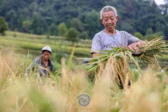 2024多彩贵州·第十七届中国原生态国际摄影大展展览 · 摄影大展官方客服 的图集