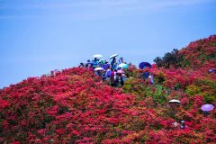 多彩贵州·第十四届中国原生态国际摄影大展 · 啊伟 的图集