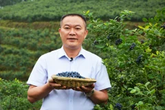 《麻江县人民政府县长夏景卓代言麻江蓝莓助力脱贫攻坚》