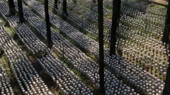 多彩贵州·第十四届中国原生态国际摄影大展 · 流浪枫叶 的图集