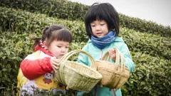 多彩贵州·第十四届中国原生态国际摄影大展 · 安顺时光 的图集