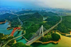 2023多彩贵州·第十六届中国原生态国际摄影大展 · 巴西铁 的图集