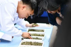 多彩贵州·第十四届中国原生态国际摄影大展 · hujibin 的图集
