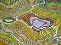 多彩贵州·第十四届中国原生态国际摄影大展 · 牧渔 的图集