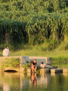 2023多彩贵州·第十六届中国原生态国际摄影大展 · 王雅 的图集