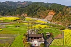 2025多彩贵州·第十八届中国原生态国际摄影大展 · 巴西铁 的图集
