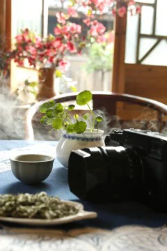 多彩贵州·第十四届中国原生态国际摄影大展 · 李永忠 的图集