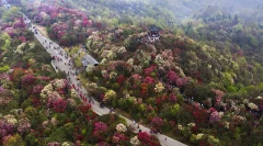 第十五届多彩贵州·中国原生态国际摄影大展·”空中瞰贵州”主题征稿 · bocwq0604 的图集