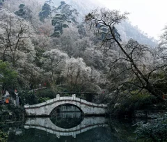 2023多彩贵州·第十六届中国原生态国际摄影大展 · 光头果果 的图集