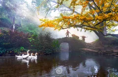 2023多彩贵州·第十六届中国原生态国际摄影大展展览 · 摄影大展官方客服 的图集