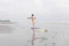 《海岸之歌》