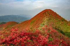 多彩贵州·第十四届中国原生态国际摄影大展 · 吴江平 的图集