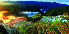 第十五届多彩贵州·中国原生态国际摄影大展 · 摄影大展官方客服 的图集