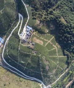多彩贵州·第十四届中国原生态国际摄影大展 · 叶子烟 的图集
