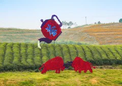 多彩贵州·第十四届中国原生态国际摄影大展 · 淼 的图集