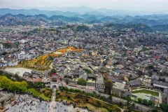 2025多彩贵州·第十八届中国原生态国际摄影大展 · 巴西铁 的图集