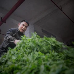 多彩贵州·第十四届中国原生态国际摄影大展 · 阿敏 的图集