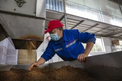 多彩贵州·第十四届中国原生态国际摄影大展 · xqy5778 的图集
