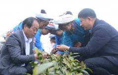 多彩贵州·第十四届中国原生态国际摄影大展 · 诗和远方（肖雄） 的图集