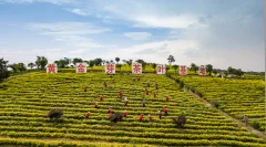 多彩贵州·第十四届中国原生态国际摄影大展 · 鸟瞰家乡 的图集