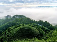 多彩贵州·第十四届中国原生态国际摄影大展 · 周访华 的图集