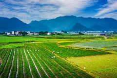 第十五届多彩贵州·中国原生态国际摄影大展·”空中瞰贵州”主题征稿 · 光影之旅 的图集