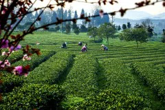 多彩贵州·第十四届中国原生态国际摄影大展 · 周访华 的图集