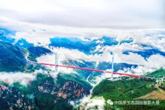 2023多彩贵州·第十六届中国原生态国际摄影大展 · 一米天涯 的图集