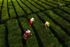 多彩贵州·第十四届中国原生态国际摄影大展 · 王毅 的图集
