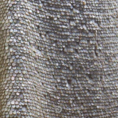 2024多彩贵州·第十七届中国原生态国际摄影大展展览 · 摄影大展官方客服 的图集