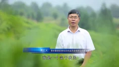 多彩贵州·第十四届中国原生态国际摄影大展 · 流浪枫叶 的图集