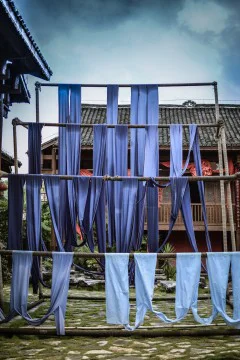 多彩贵州·第十四届中国原生态国际摄影大展 · 一月 的图集