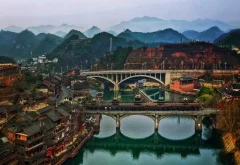 2023多彩贵州·第十六届中国原生态国际摄影大展 · 巴西铁 的图集