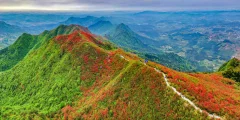丹寨龙泉山春色