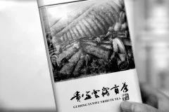多彩贵州·第十四届中国原生态国际摄影大展 · 刘世扬 的图集