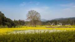 多彩贵州·第十四届中国原生态国际摄影大展 · 知根 的图集