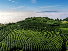 多彩贵州·第十四届中国原生态国际摄影大展 · 周访华 的图集
