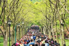 第十五届多彩贵州·中国原生态国际摄影大展 · 摄影大展官方客服 的图集