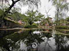 2024多彩贵州·第十七届中国原生态国际摄影大展展览 · 摄影大展官方客服 的图集