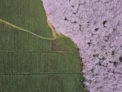 第十五届多彩贵州·中国原生态国际摄影大展·”空中瞰贵州”主题征稿 · 牧渔 的图集