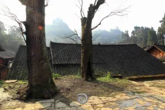2024多彩贵州·第十七届中国原生态国际摄影大展展览 · 摄影大展官方客服 的图集