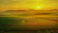 多彩贵州·第十四届中国原生态国际摄影大展 · 高山一棵松 的图集