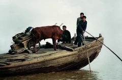 《黄河人家》