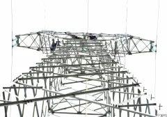 多彩贵州·中国原生态国际摄影大展 · 富贵之星 的图集