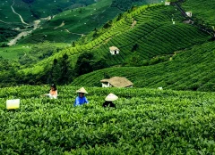 多彩贵州·第十四届中国原生态国际摄影大展 · 朱文军 的图集