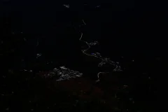 多彩贵州·第十四届中国原生态国际摄影大展 · 紫蝶视角 的图集